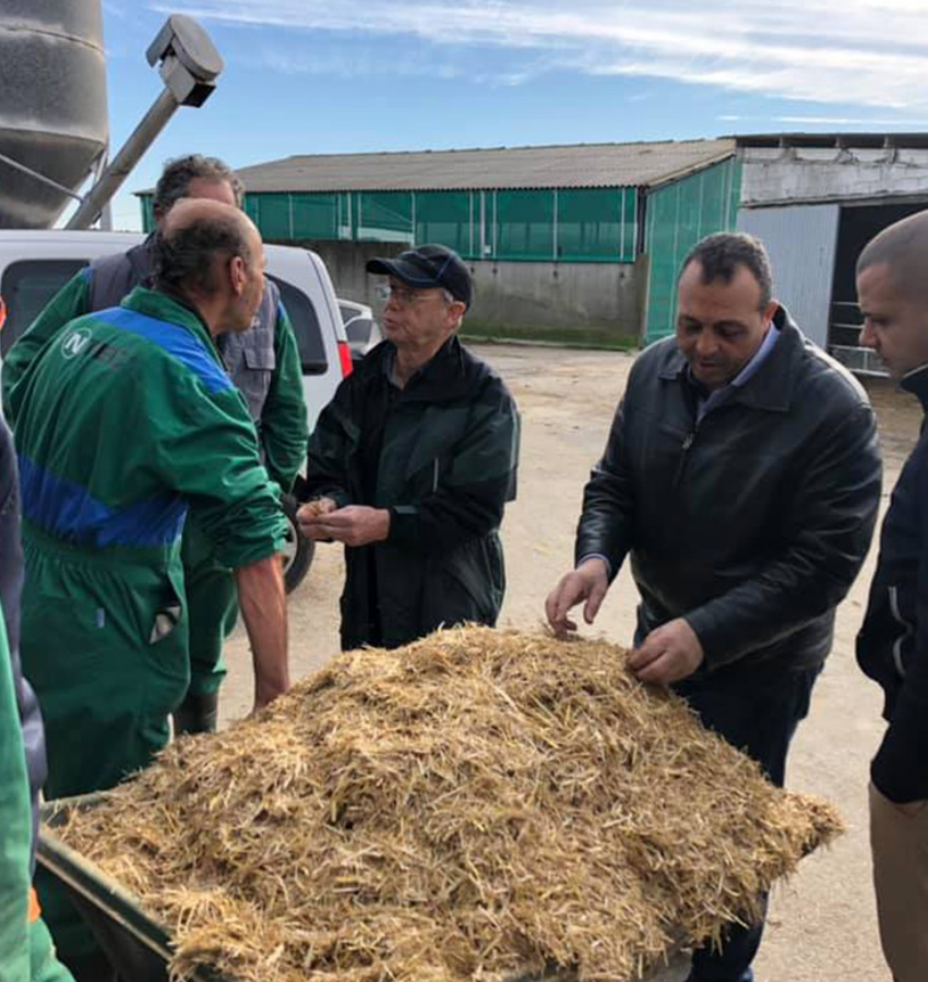 Untitled design - 2025-11-05T214900.489